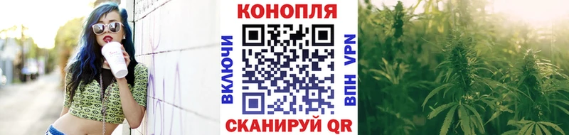 Каннабис сатива  mega сайт  Курск 
